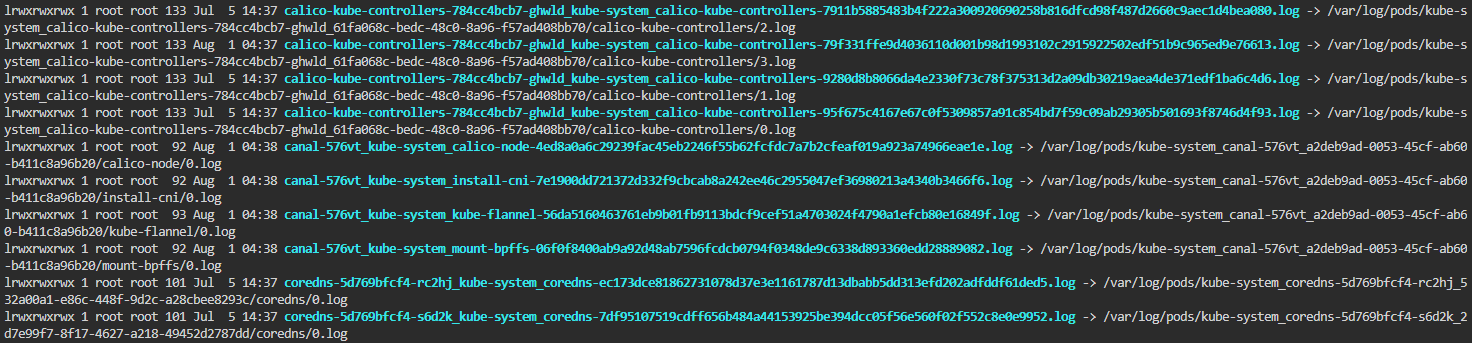 screenshot of terminal output